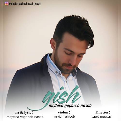 مجتبی یعقوب نسب قیش